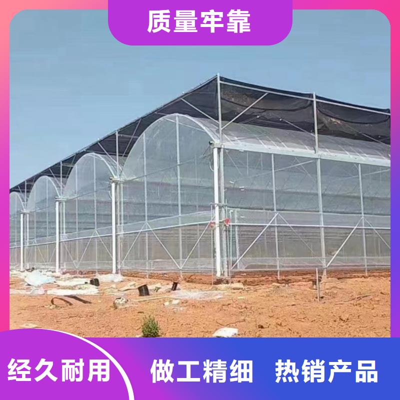 禹州蔬菜大棚管直供廠家2025已更新