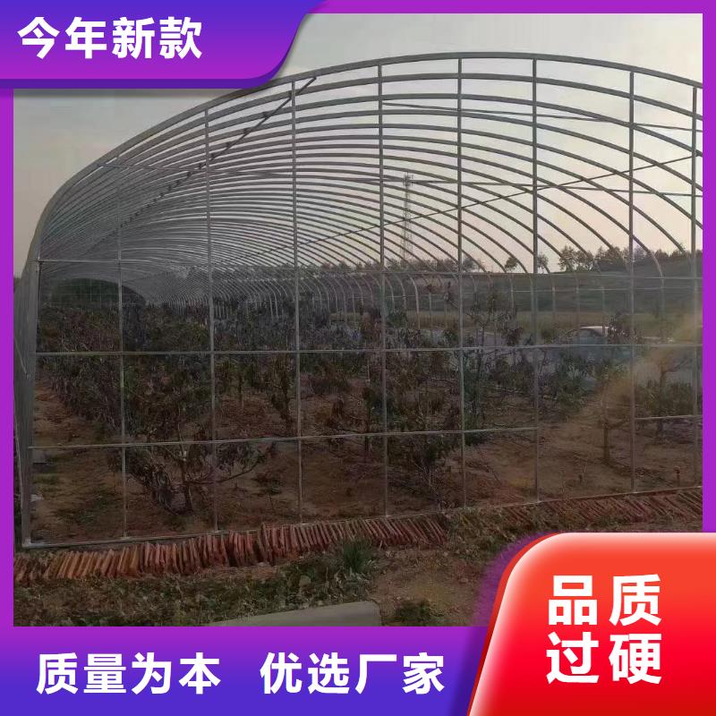 蘆淞蔬菜大棚管發(fā)貨及時2025已更新