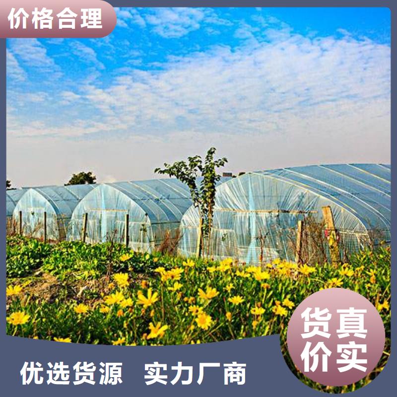 蔬菜大棚管廠家報價2025已更新