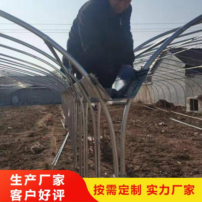 翠香街道蔬菜大棚管品質放心2025已更新