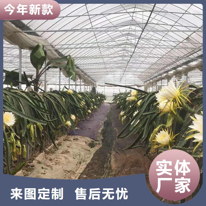 江陵縣連棟大棚鋼管供應