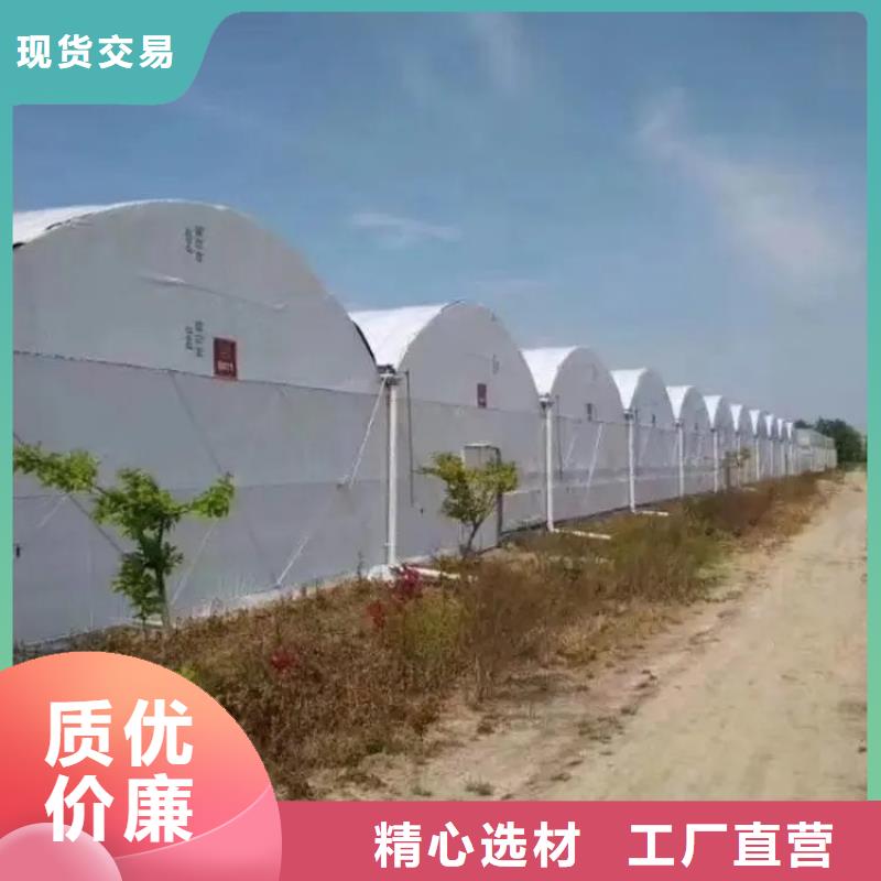 大棚管橢圓管溫室大棚拒絕中間商