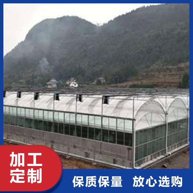 象州县蔬菜连栋温室大棚生产厂家