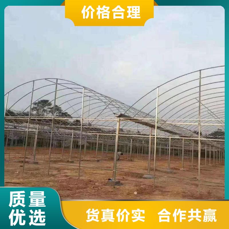 瓊海市薄膜連棟大棚型號全