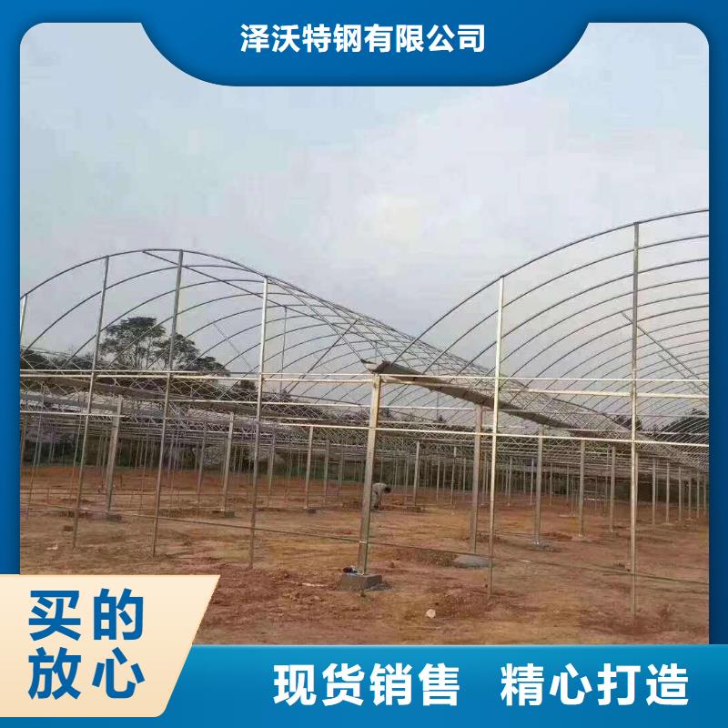 蔬菜大棚管种植基地2024已更新