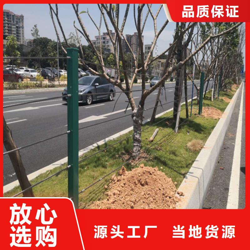 性價比高的景區(qū)河道繩索鋼索拉索護欄 橋梁不銹鋼繩索護欄桿生產(chǎn)廠家