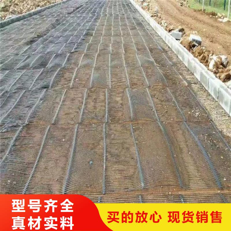 單向塑料土工格柵【TPO防水卷材】放心得選擇