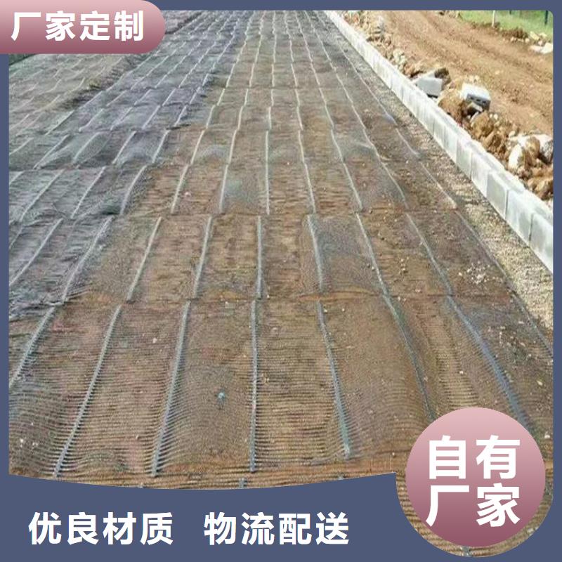 單向塑料土工格柵,【防滲土工膜】質優價廉