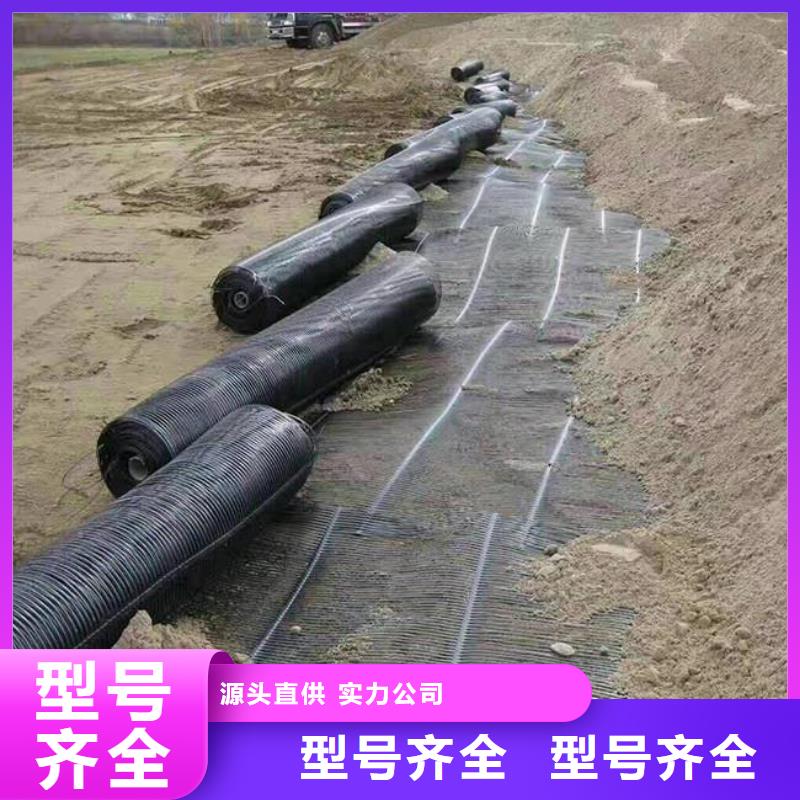 單向塑料土工格柵【TPO防水卷材】放心得選擇