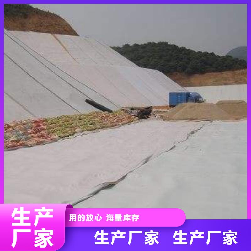 復合土工膜塑料土工濾網產地貨源