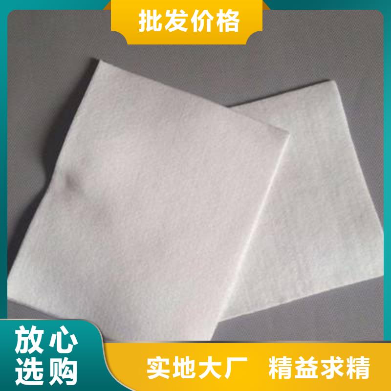 復合土工膜【TPO防水卷材】品牌企業