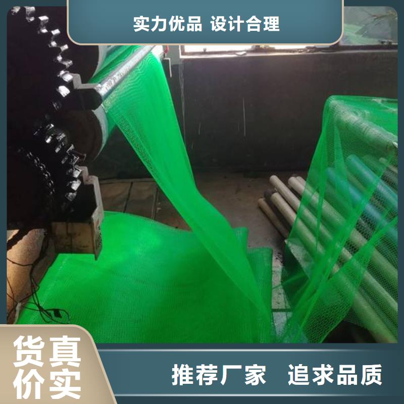 三維植被網(wǎng)_單向塑料土工格柵自營品質(zhì)有保障