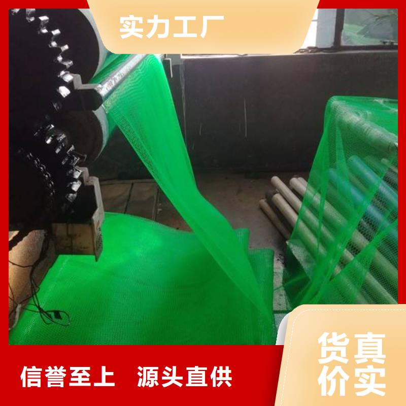 三维植被网单向塑料土工格栅精选好货