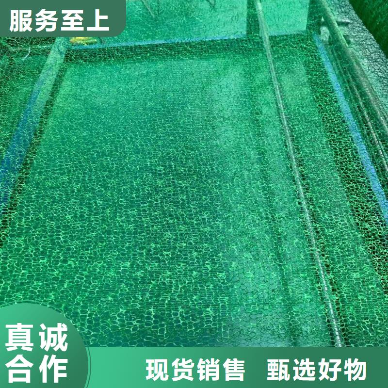 三維植被網_雙向拉伸塑料格柵做工精細