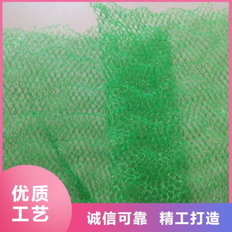 三維植被網(wǎng),土工格室售后服務(wù)完善