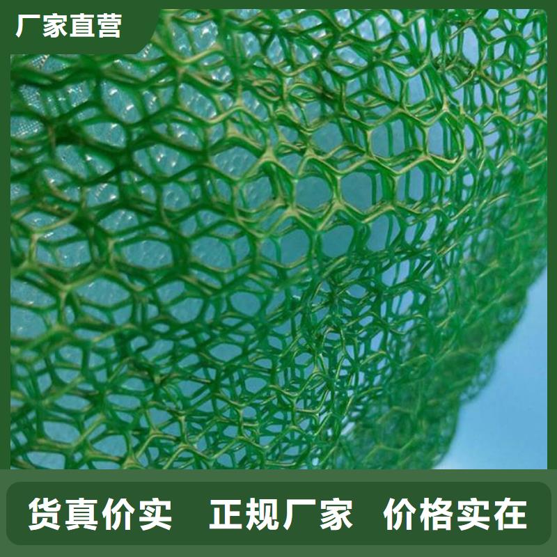三维植被网,双向拉伸塑料格栅支持定制批发