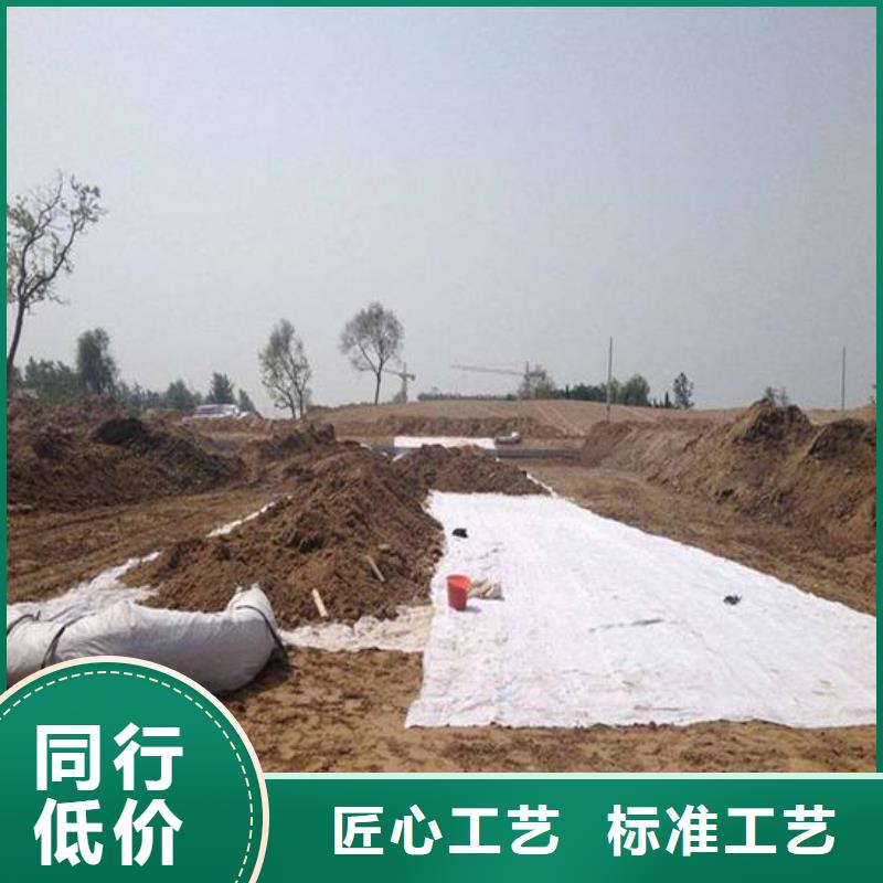 膨潤土防水毯【長絲土工布】現貨供應