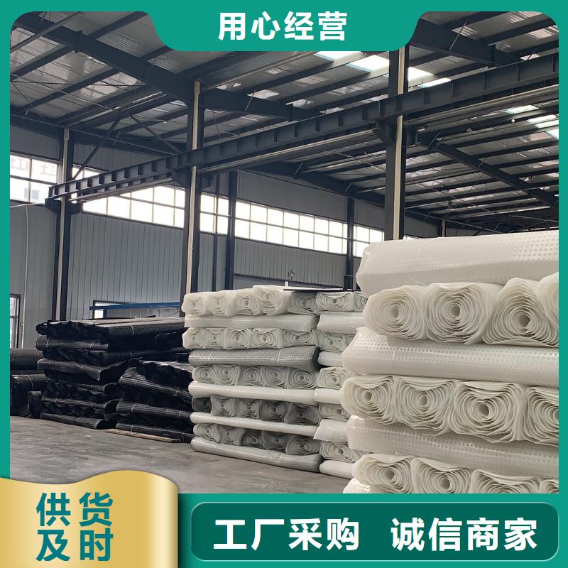 【排水板】长丝土工布专业生产制造厂