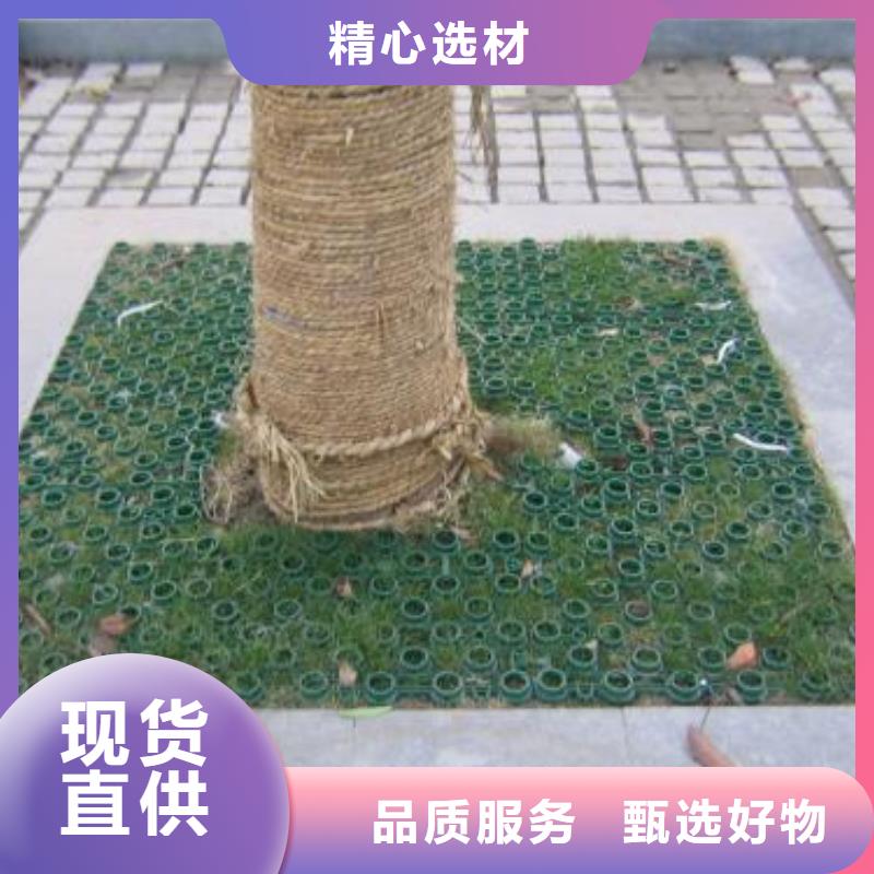 【植草格,凸結點鋼塑土工格柵多種工藝】