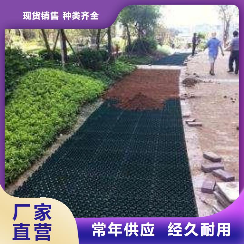 植草格【城建土工膜】選擇大廠家省事省心