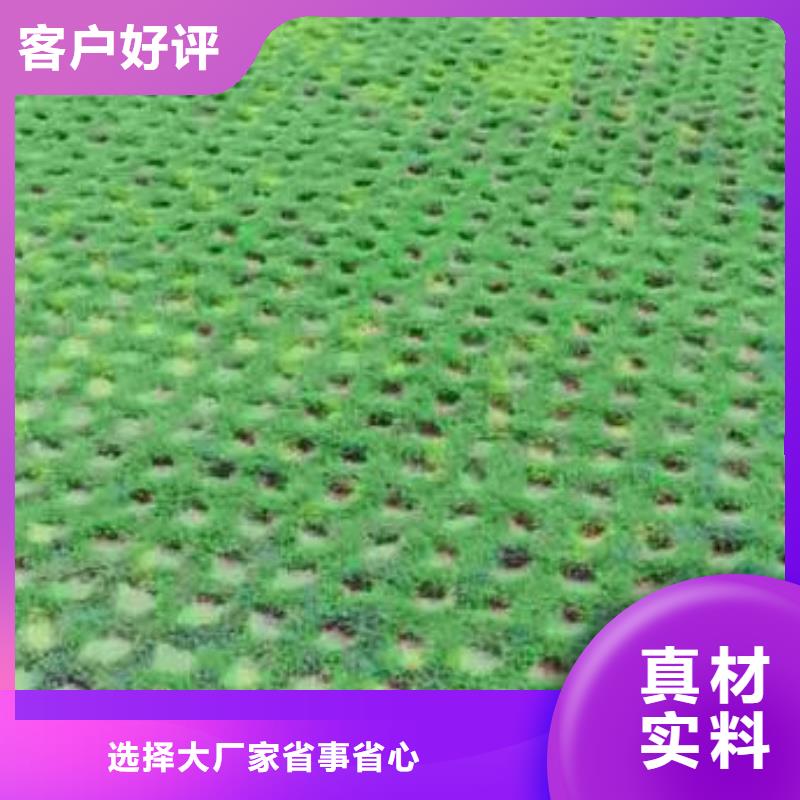 【植草格】軟式透水管實力廠家