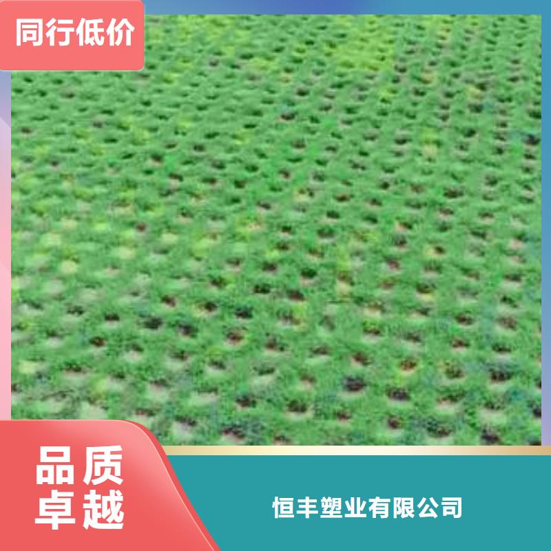 植草格軟式透水管批發(fā)供應(yīng)