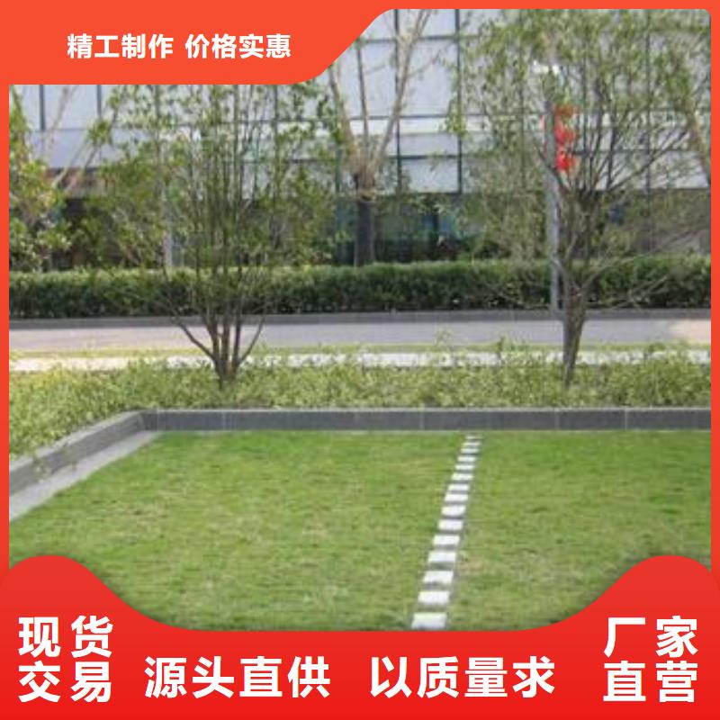 植草格土工格室用心做好每一件产品