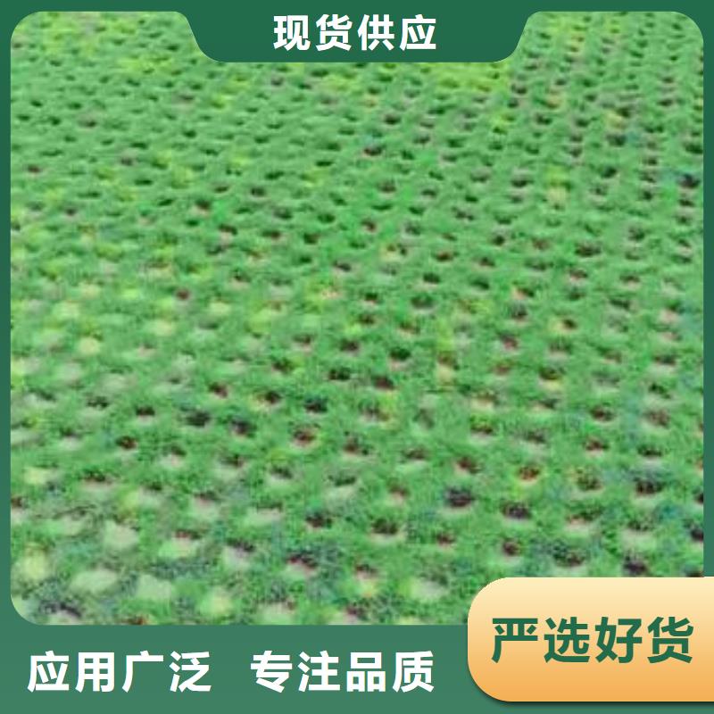 植草格-【雙向拉伸塑料格柵】N年大品牌