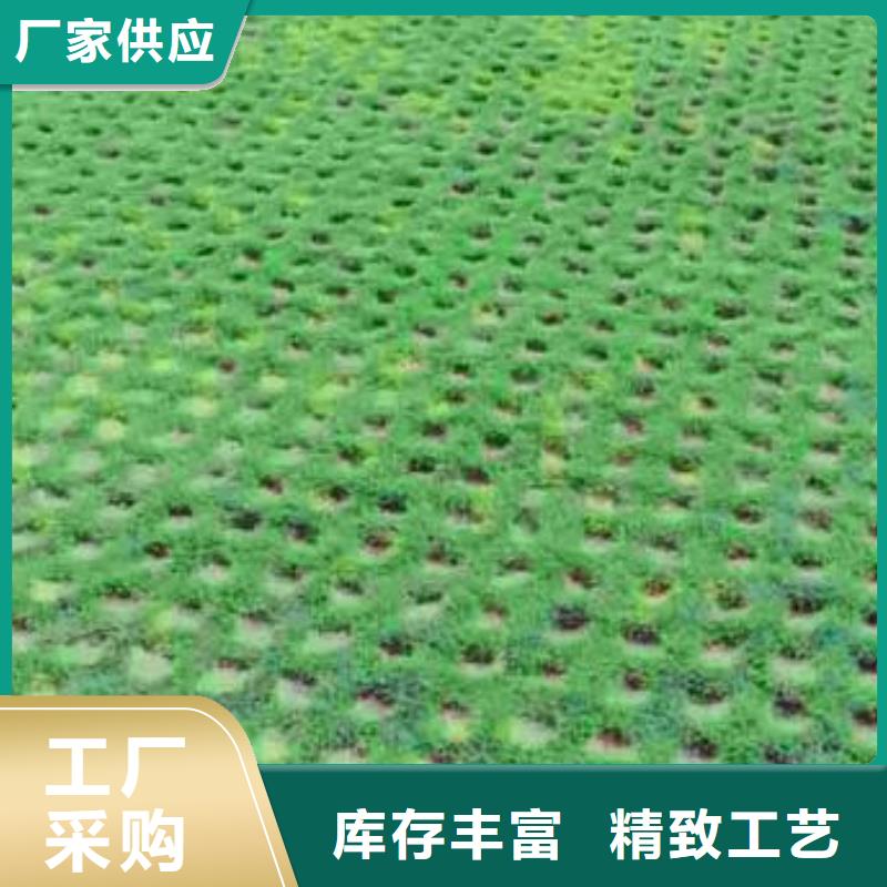 【植草格】軟式透水管實(shí)力廠家