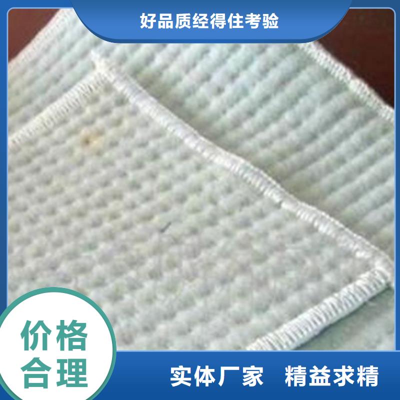 膨潤土防水毯加筋布專注細(xì)節(jié)專注品質(zhì)