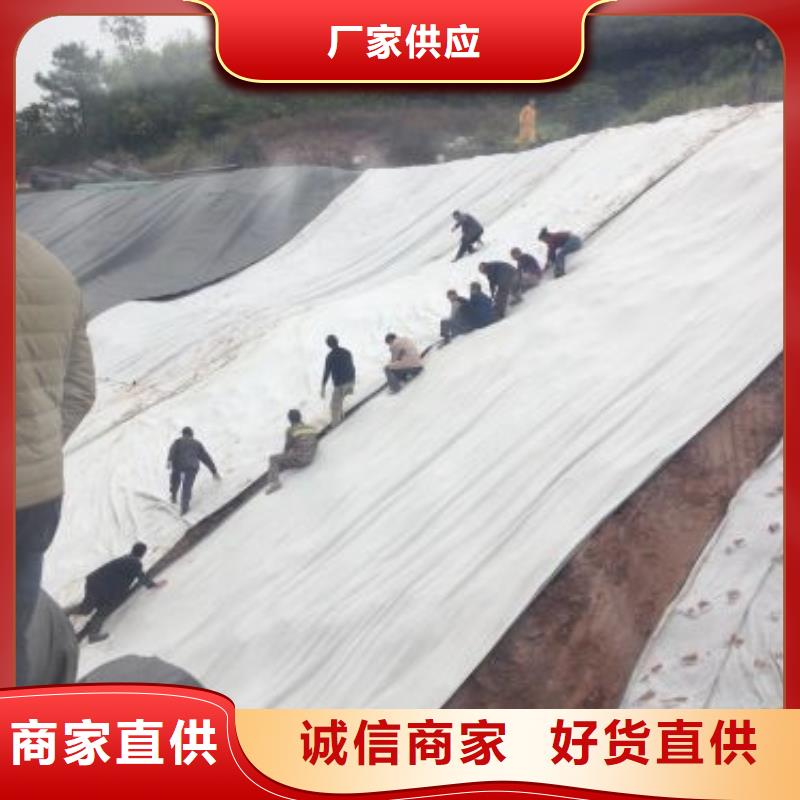 膨潤土防水毯鋼塑土工格柵匠心制造