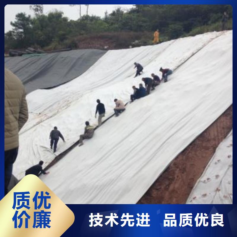 【膨潤土防水毯】防滲土工膜可零售可批發