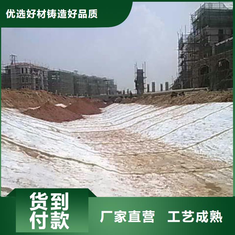 膨潤土防水毯鋼塑土工格柵現貨快速采購