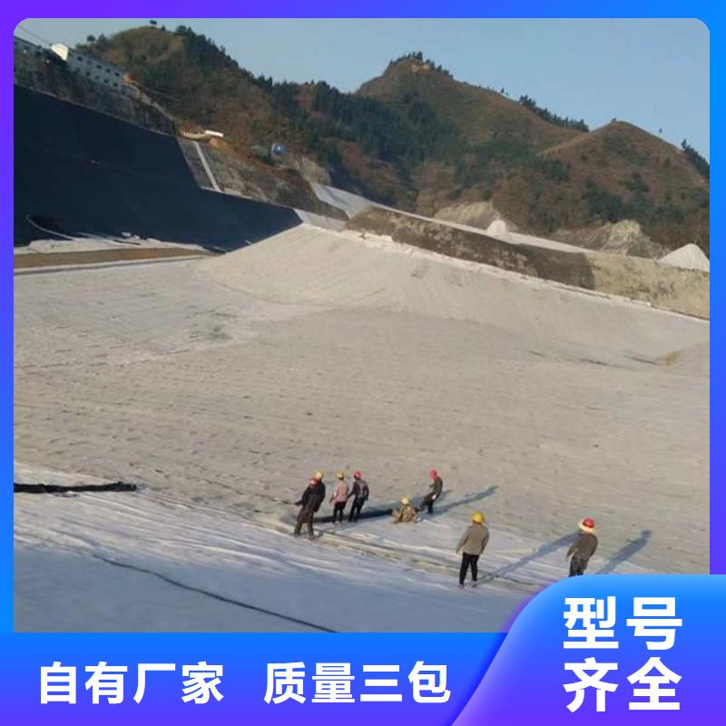 膨潤土防水毯護坡土工網產地源頭好貨