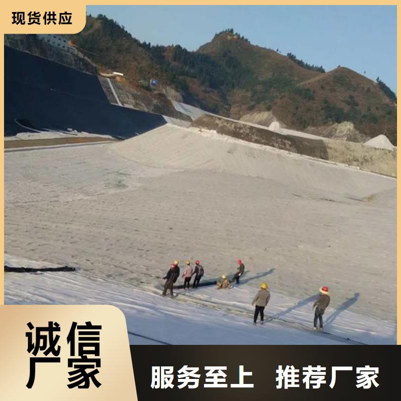 膨润土防水毯护坡土工网随到随提