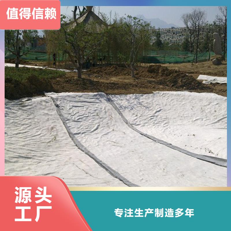 【膨潤土防水毯三維土工網墊歡迎來電咨詢】