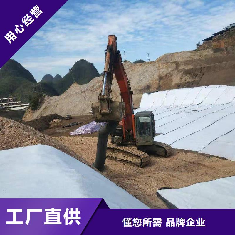 膨润土防水毯塑料土工格栅把实惠留给您