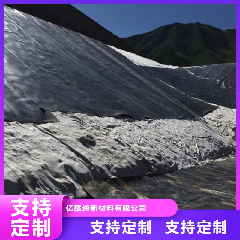 土工膜鋼塑土工格柵原廠制造