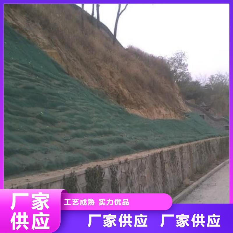 三維植被網塑料土工濾網批發供應