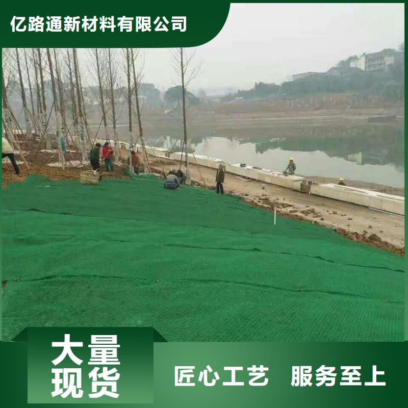 三維植被網塑料土工濾網批發供應