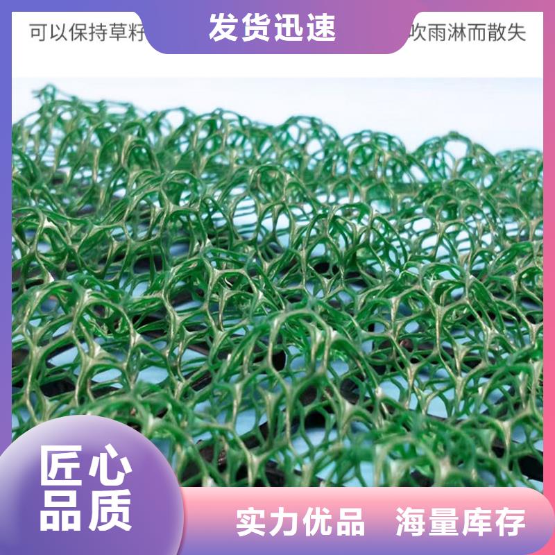 三維植被網(wǎng),透水土工布廠家精選