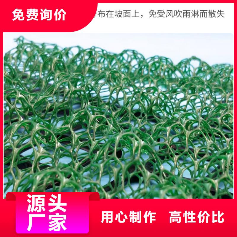 三維植被網塑料土工格柵一個起售