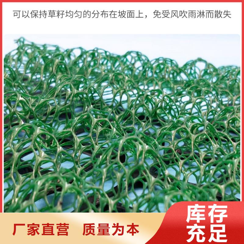 三維植被網(wǎng),塑料土工格柵免費(fèi)獲取報價