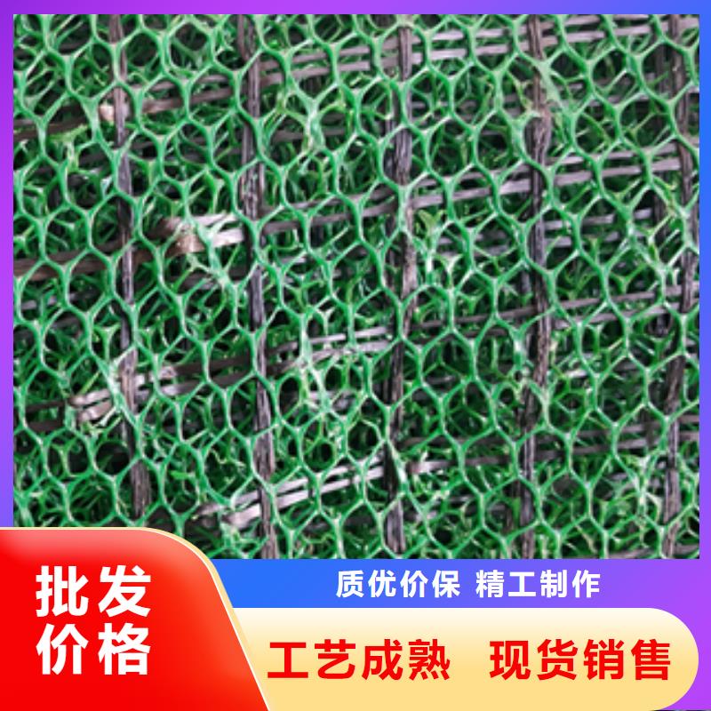 三維植被網【復合土工膜】支持拿樣