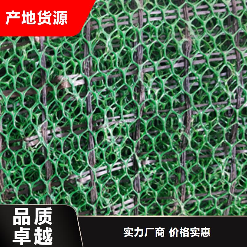 【三维植被网保温土工布来图定制量大从优】