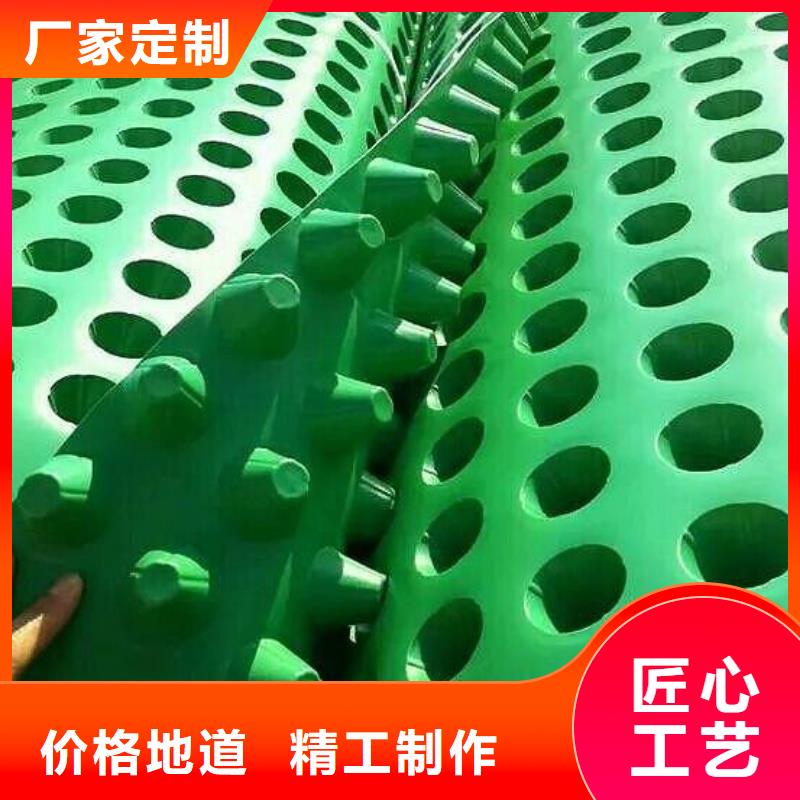 塑料排水板玻纖土工格柵質(zhì)量上乘