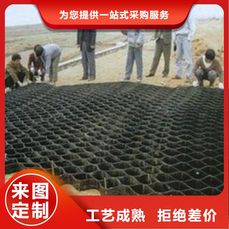 土工格室雙向塑料土工格柵質量不佳盡管來找我