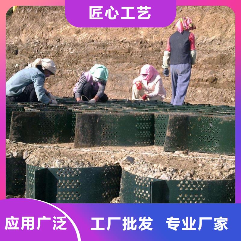 土工格室鋼塑土工格柵敢與同行比價格