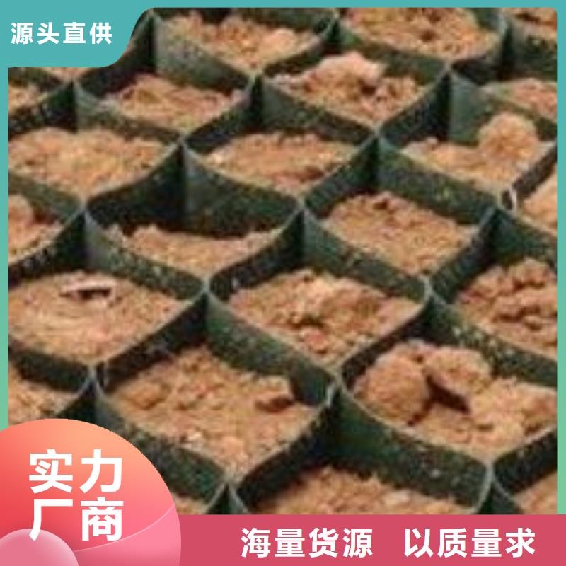 【土工格室,防滲膜工廠直營】