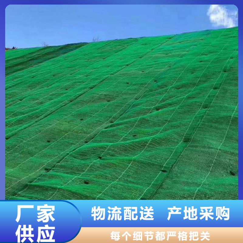 三维植被网【玻纤土工格栅】实拍展现